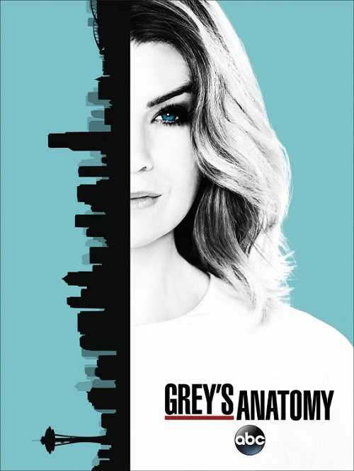 مسلسل Greys Anatomy الموسم 13 الحلقة 16