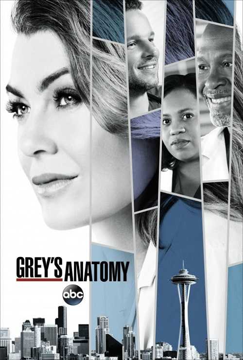 مسلسل Greys Anatomy الموسم 14 الحلقة 19